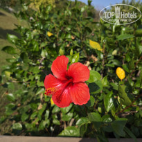 фото из отзыва ID 2647668