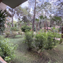 фото из отзыва ID 2647680