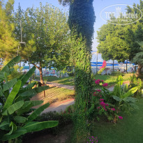 фото из отзыва ID 2647700