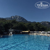 фото из отзыва ID 2647707