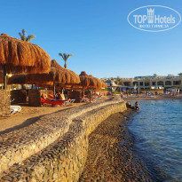 фото из отзыва ID 2647751