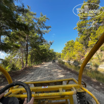 фото из отзыва ID 2647779