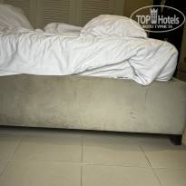 фото из отзыва ID 2647787