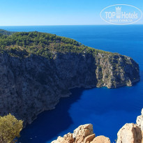 фото из отзыва ID 2647786