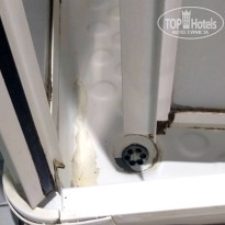 фото из отзыва ID 2647803