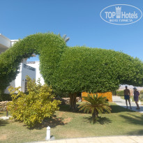 фото из отзыва ID 2647838