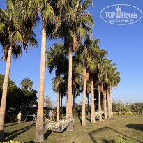 фото из отзыва ID 2647876