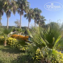 фото из отзыва ID 2647876