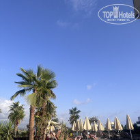 фото из отзыва ID 2647876