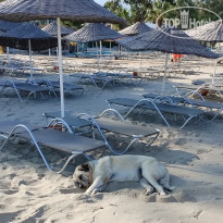 фото из отзыва ID 2647970