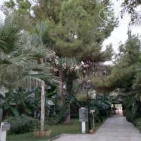 фото из отзыва ID 2647970