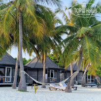 фото из отзыва ID 2648065