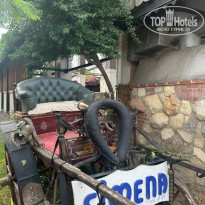 фото из отзыва ID 2648062