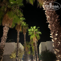 фото из отзыва ID 2648062