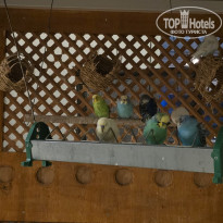 фото из отзыва ID 2648085