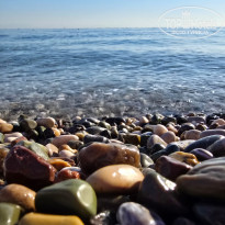 фото из отзыва ID 2648085