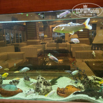 фото из отзыва ID 2648085