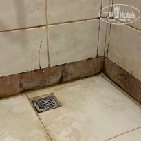 фото из отзыва ID 2648139