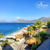 фото из отзыва ID 2644828