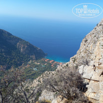 фото из отзыва ID 2644828