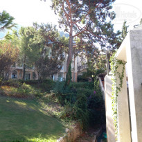 фото из отзыва ID 2644828