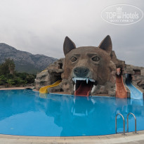 фото из отзыва ID 2648194