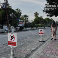 фото из отзыва ID 2648201