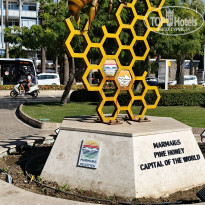 фото из отзыва ID 2648106