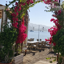 фото из отзыва ID 2648106