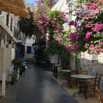 фото из отзыва ID 2648106