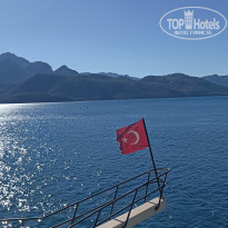 фото из отзыва ID 2648106