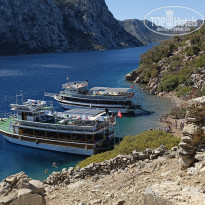 фото из отзыва ID 2648106