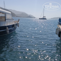 фото из отзыва ID 2648106