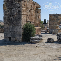 фото из отзыва ID 2648106