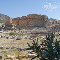 фото из отзыва ID 2648106