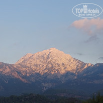 фото из отзыва ID 2648317