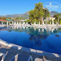 фото из отзыва ID 2648317