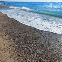 фото из отзыва ID 2648317