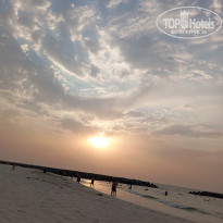 фото из отзыва ID 2648363