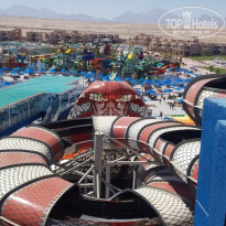 фото из отзыва ID 2648429