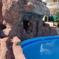 фото из отзыва ID 2648359