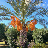 фото из отзыва ID 2648430