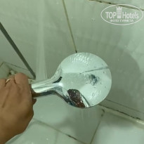 фото из отзыва ID 2648466