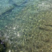 фото из отзыва ID 2648470