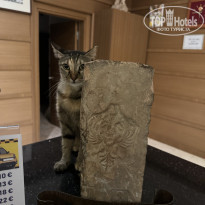 фото из отзыва ID 2648470