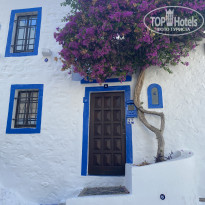 фото из отзыва ID 2648495