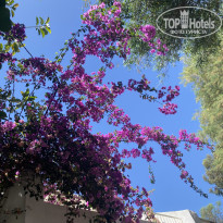 фото из отзыва ID 2648495