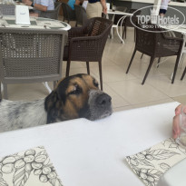 фото из отзыва ID 2648495