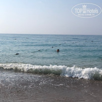 фото из отзыва ID 2648543