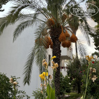 фото из отзыва ID 2648543